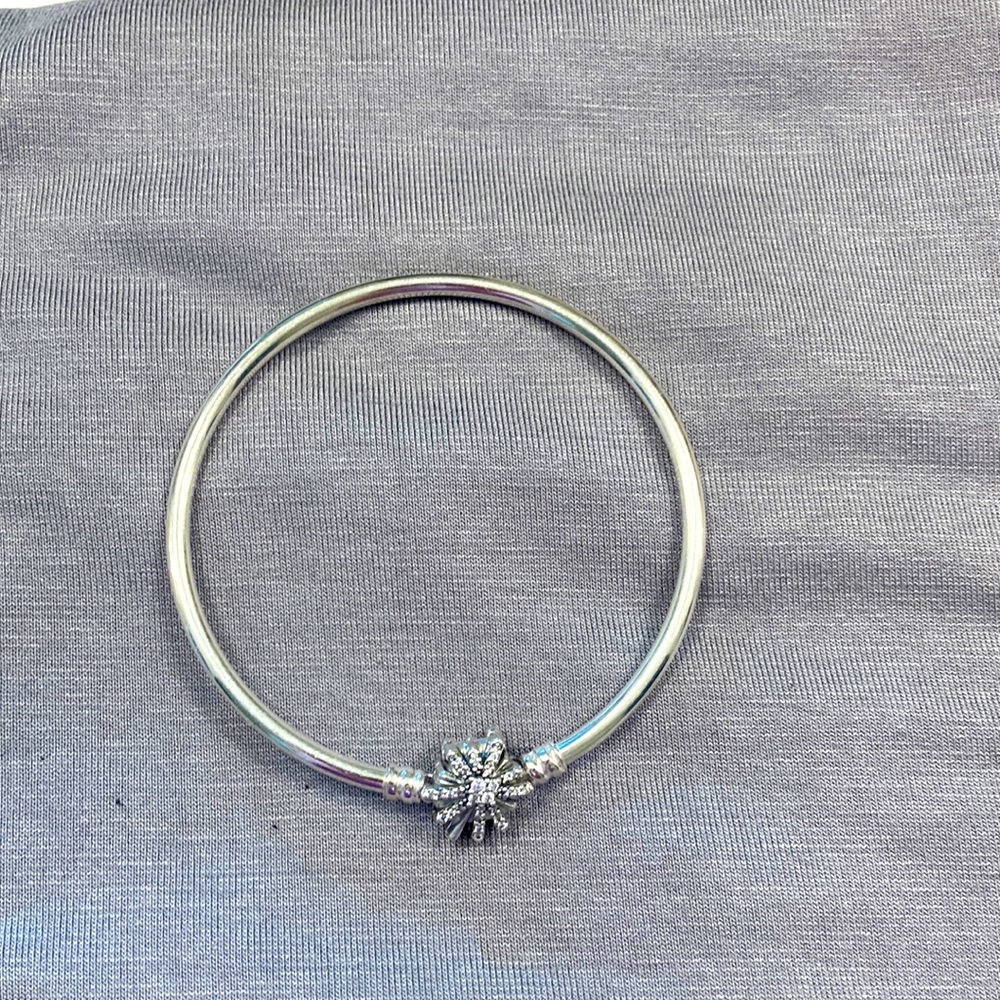 Pandora bracelet